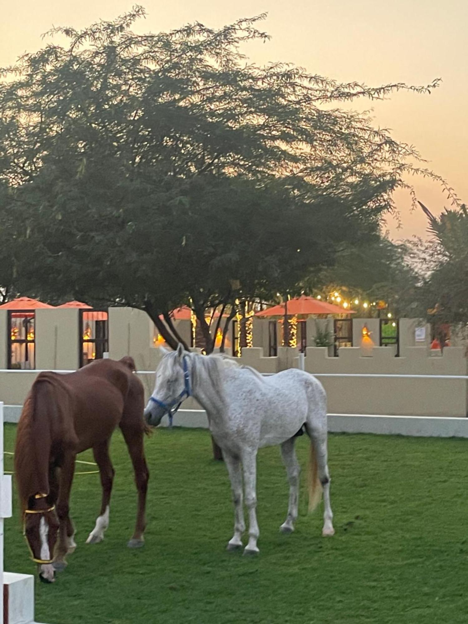Al Bait Resort With Private Swimming Pools -Hrs Stables Al Hamraniyah ภายนอก รูปภาพ